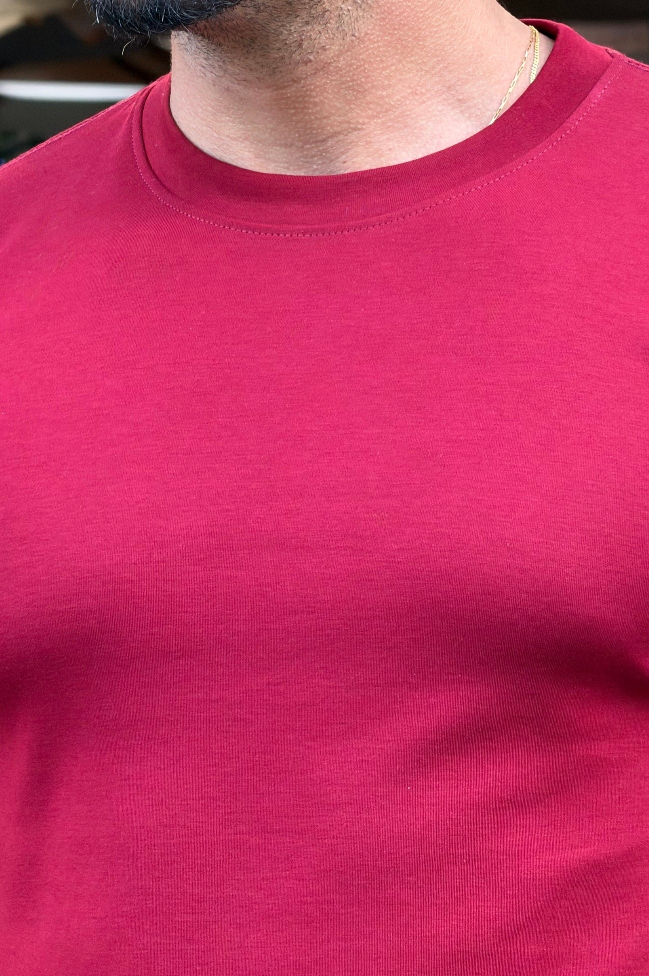 Camiseta Algodão Pima - Up